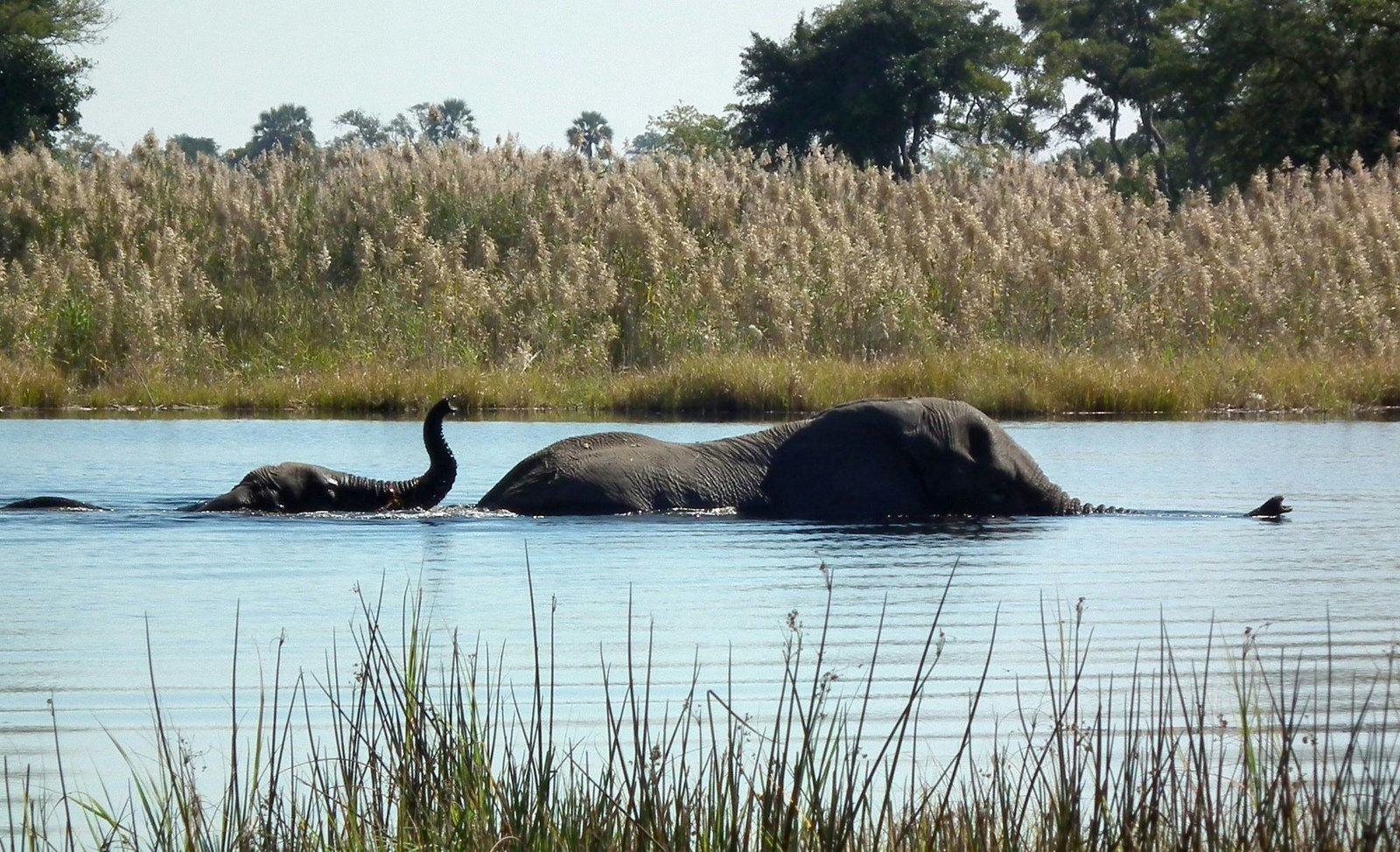 Gal Oya National Park