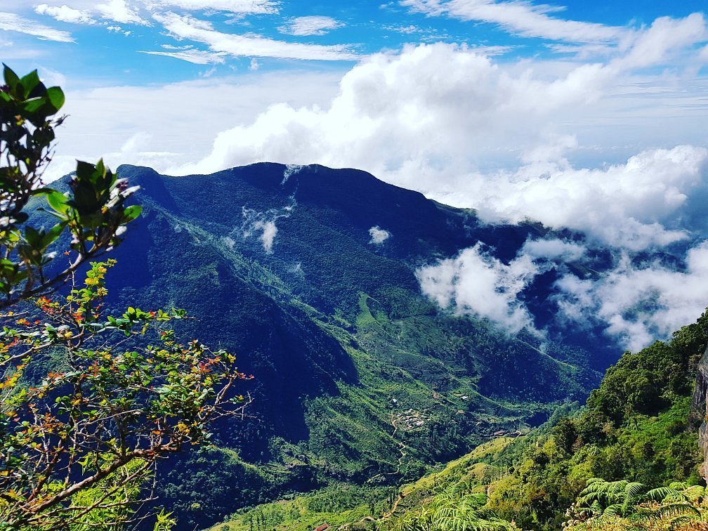Horton Plains