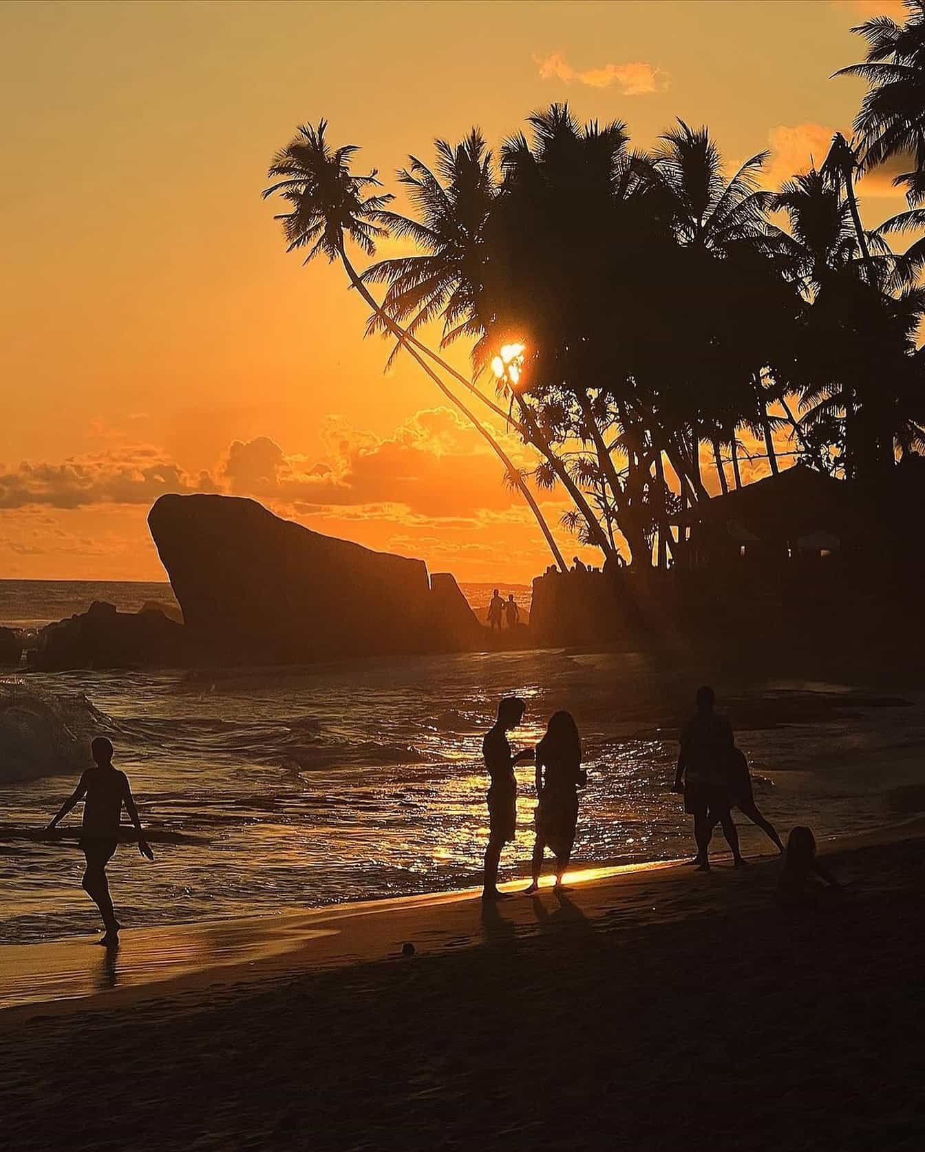 Beaches & Sunsets
